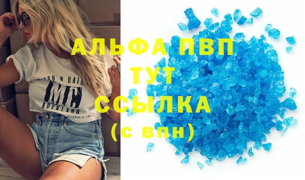 сатива Белоозёрский