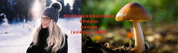 сатива Белоозёрский