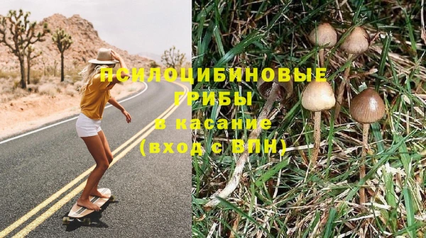 сатива Белоозёрский