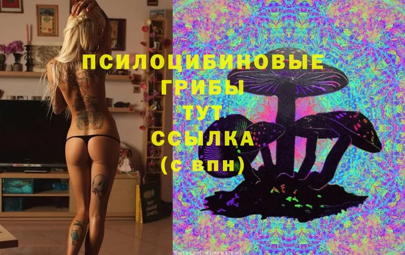 darknet формула  Бикин  Псилоцибиновые грибы Cubensis  как найти закладки 